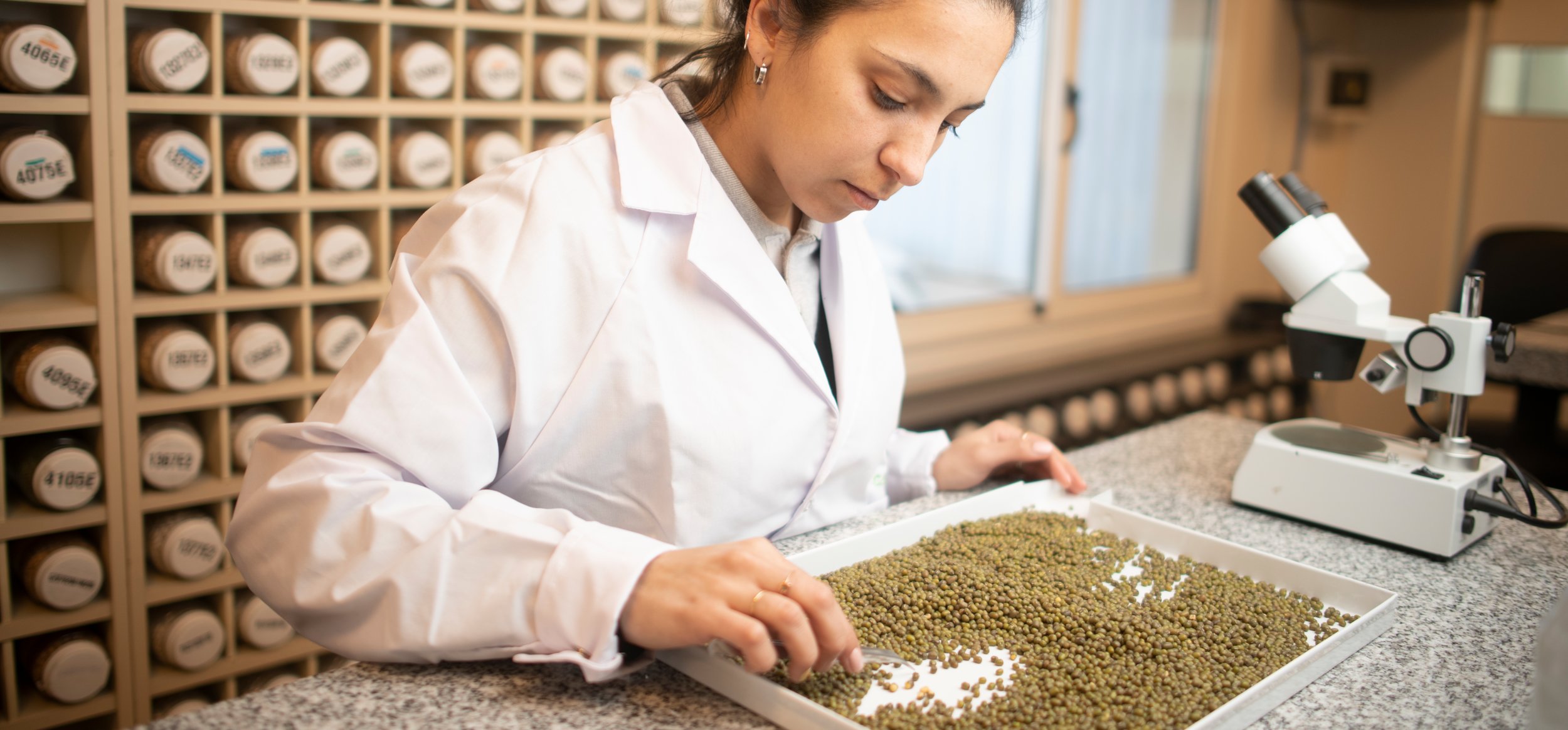 Internal seed testing Cono maintains internal testing and selection programmes to find the best seeds and crop each year.